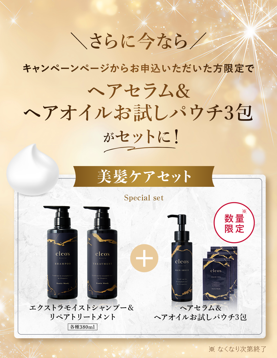 さらに今ならキャンペーンページ申込み限定でヘアミルク＆スカルプブラシをプレゼント 美髪ケアセット シャンプー&トリートメントとヘアミルク&リフトアップブラシ 数量限定