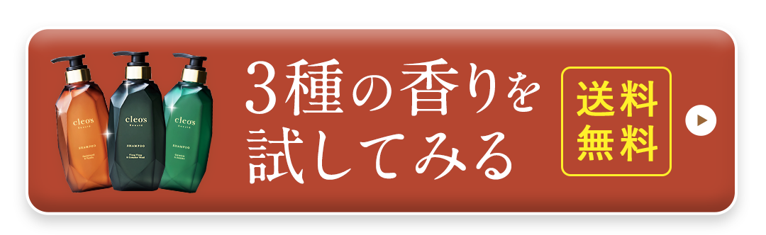 今すぐ購入する