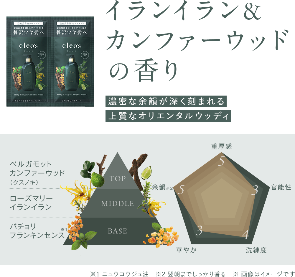 イランイラン＆カンファーウッドの香り