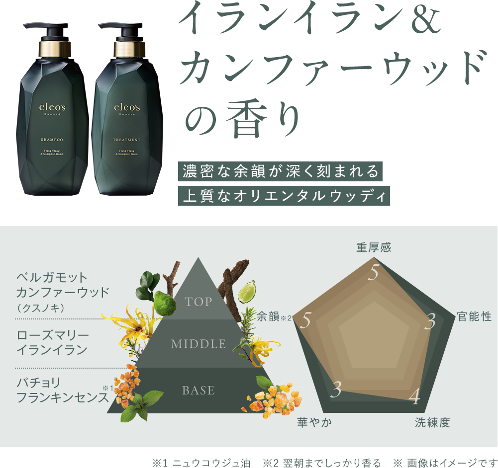 イランイラン＆カンファーウッドの香り