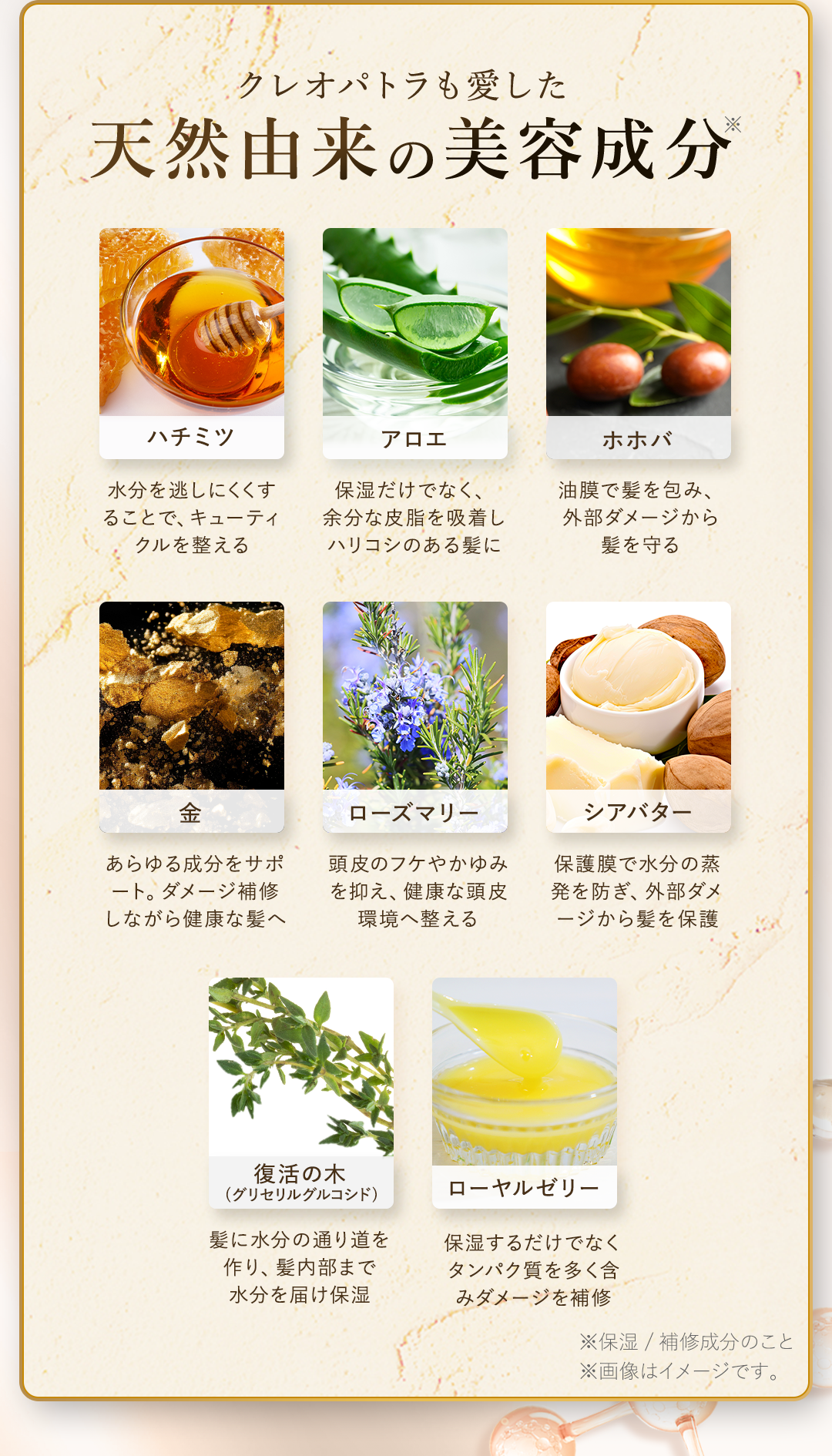 クレオパトラも愛した天然由来の美容成分