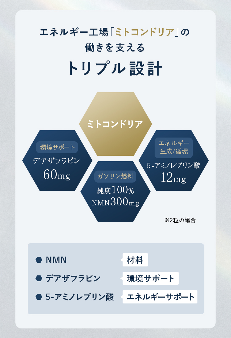 エネルギー工場「ミトコンドリア」の働きを支えるトリプル設計 環境サポート デアザフラビン 60mg ガソリン燃料 純度100％ NMN300mg エネルギー生成/循環 5-アミノレブリン酸 12mg ※2粒の場合 NMN 材料 デアザフラビン 環境サポート 5-アミノレブリン酸 エネルギーサポート