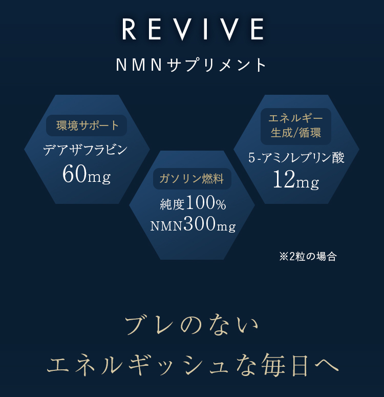 REVIVE NMNサプリメント 環境サポート デアザフラビン 60mg ガソリン燃料 純度100％ NMN300mg エネルギー生成/循環 5-アミノレブリン酸 12mg ※2粒の場合 ブレのないエネルギッシュな毎日へ