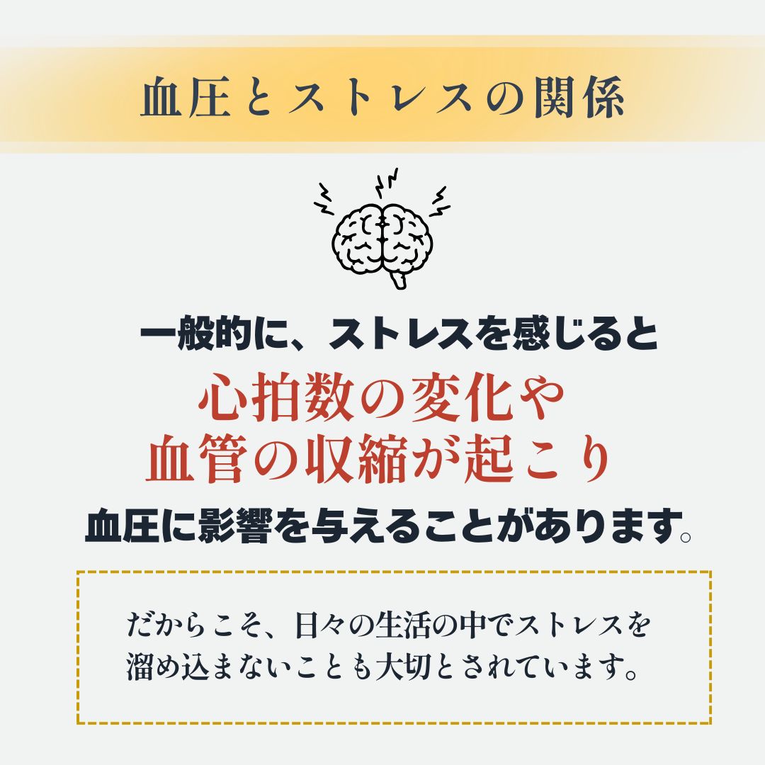 【機能性表示食品】ごま茶＋GABA 30袋入