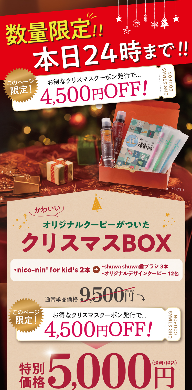 スペシャルクリスマスボックス