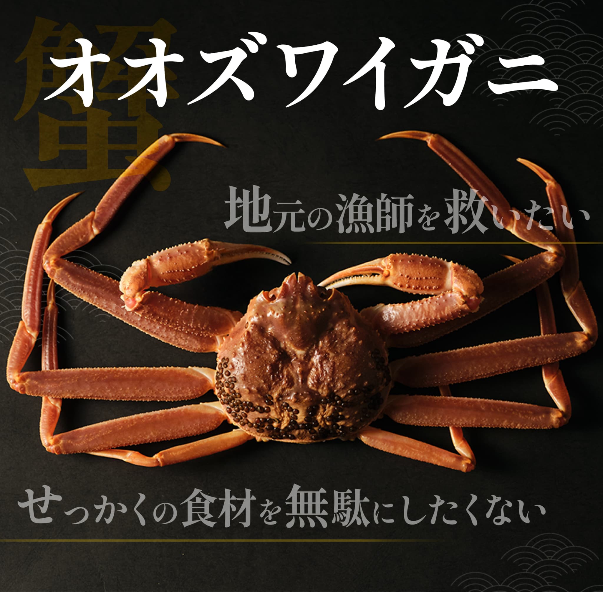蟹