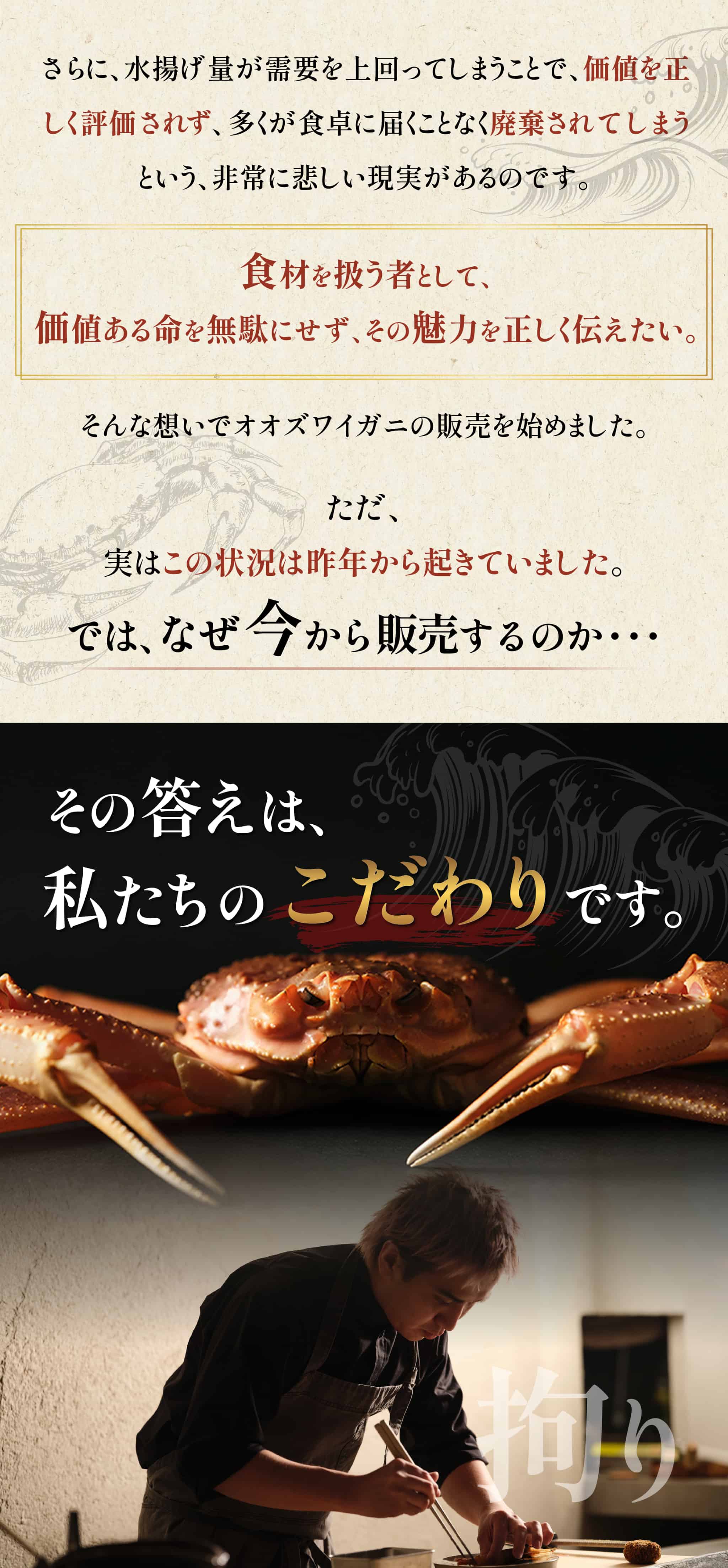 蟹