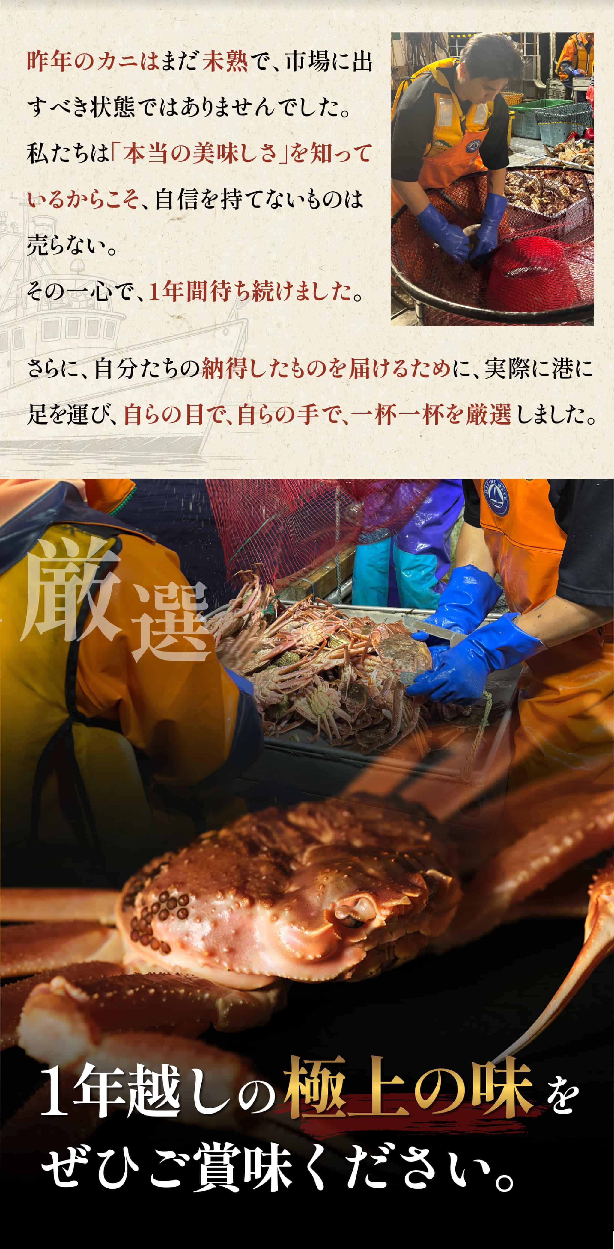 蟹