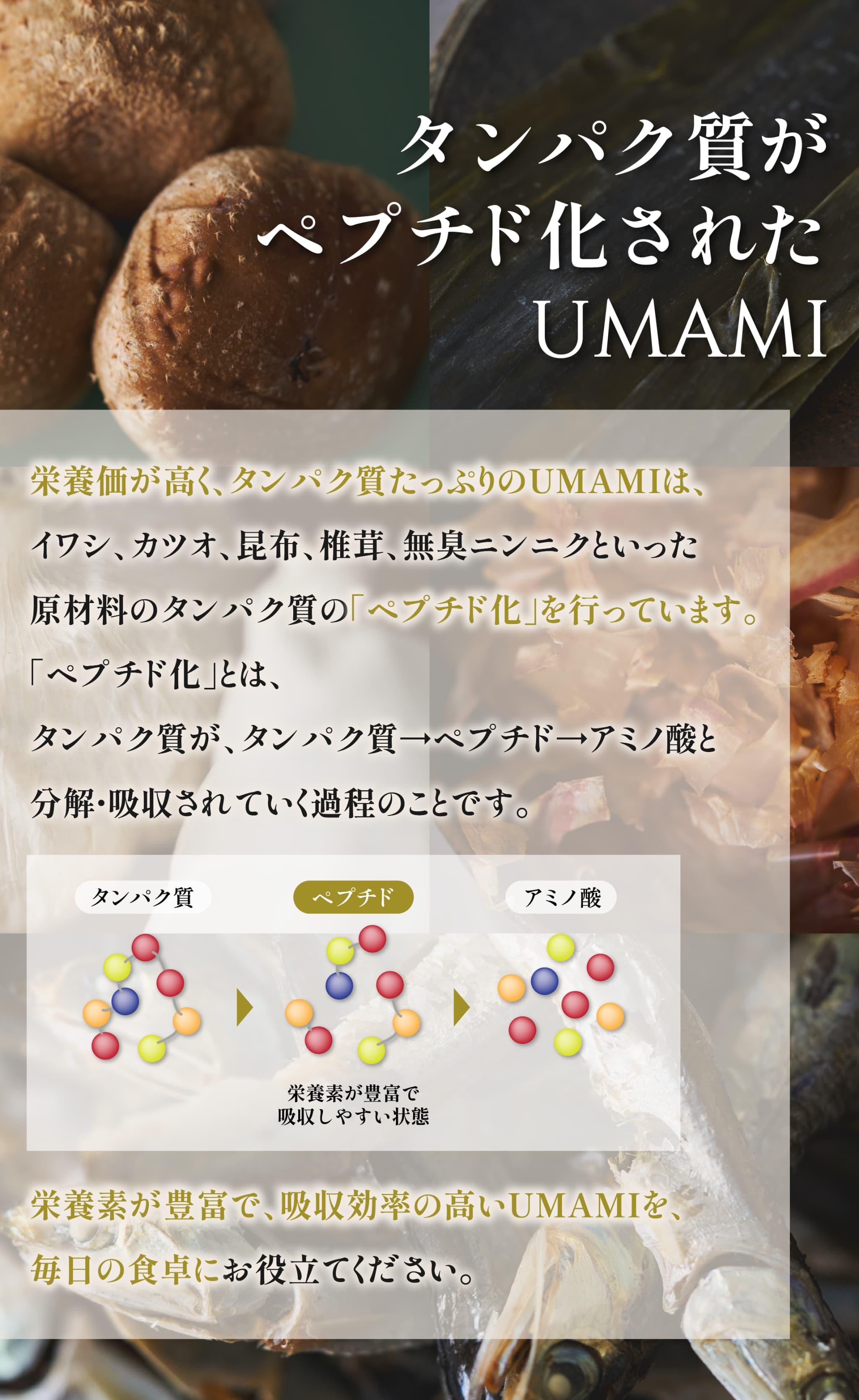 UMAMI