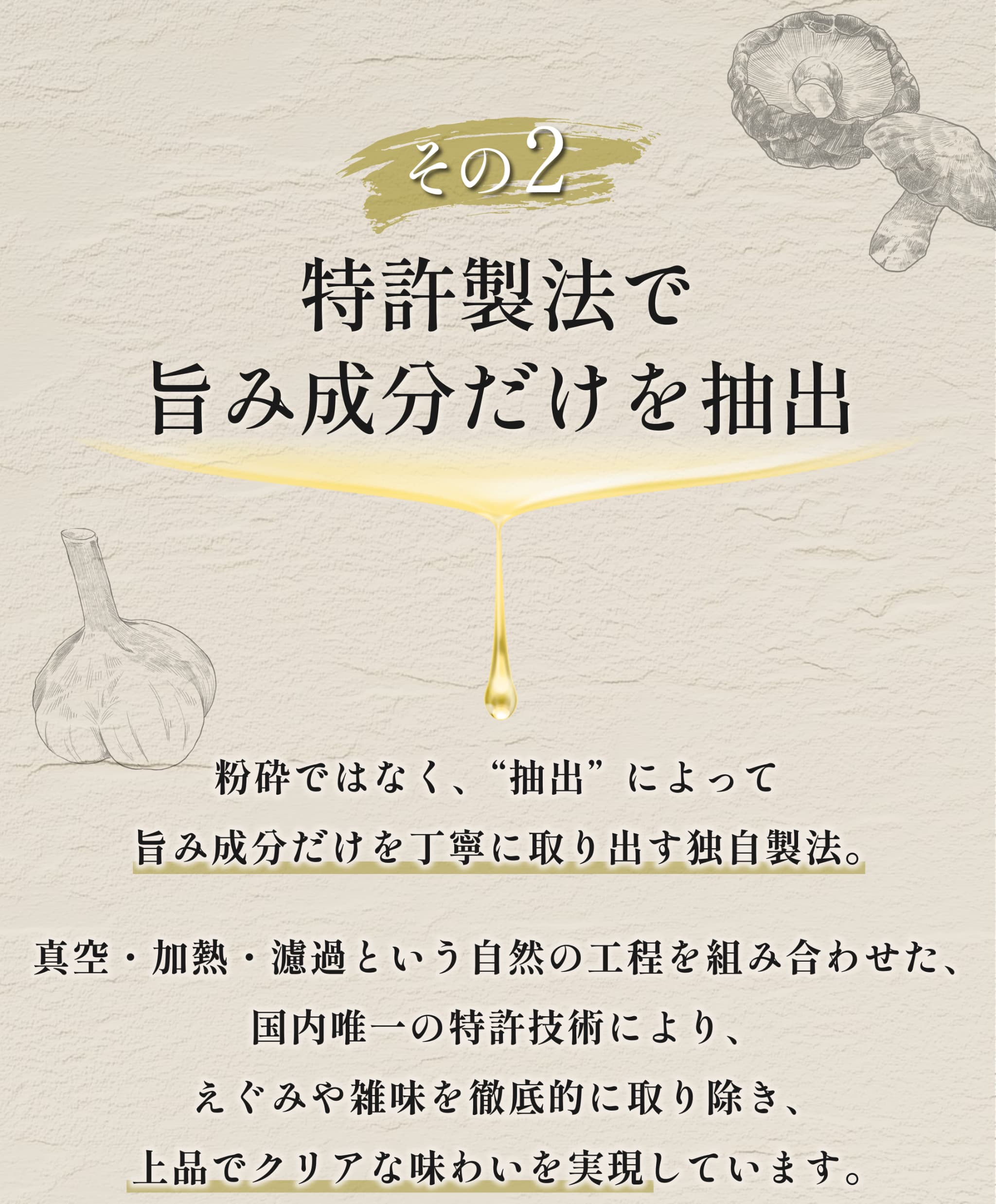 UMAMI