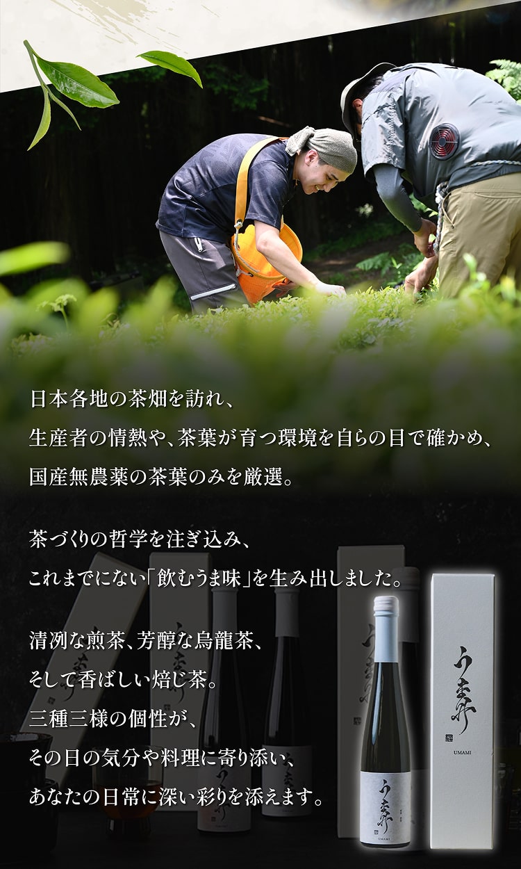 UMAMIお茶
