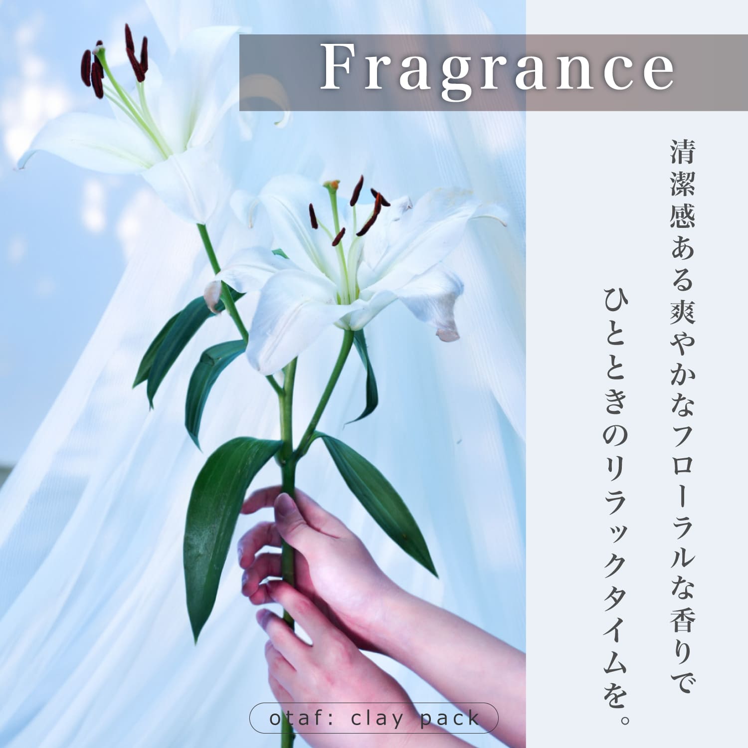 【送料無料】オトアフ クレイパック 150g