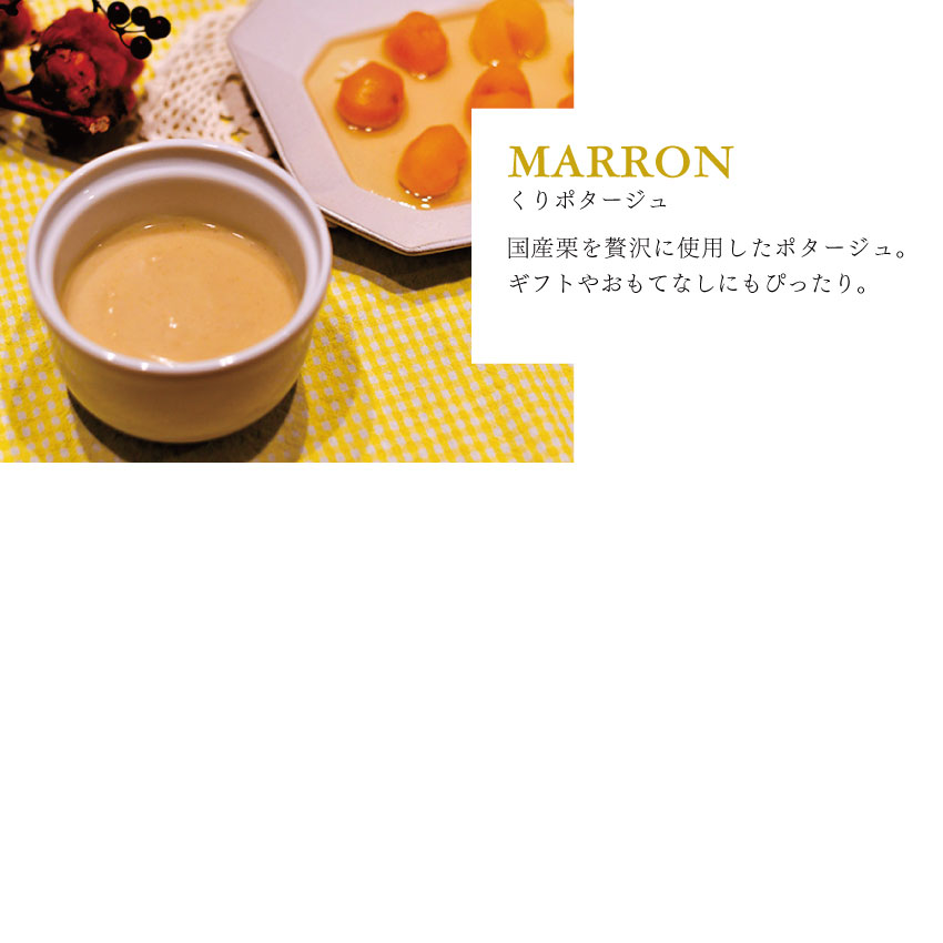 冬の家族で楽しむポタージュ8個セット