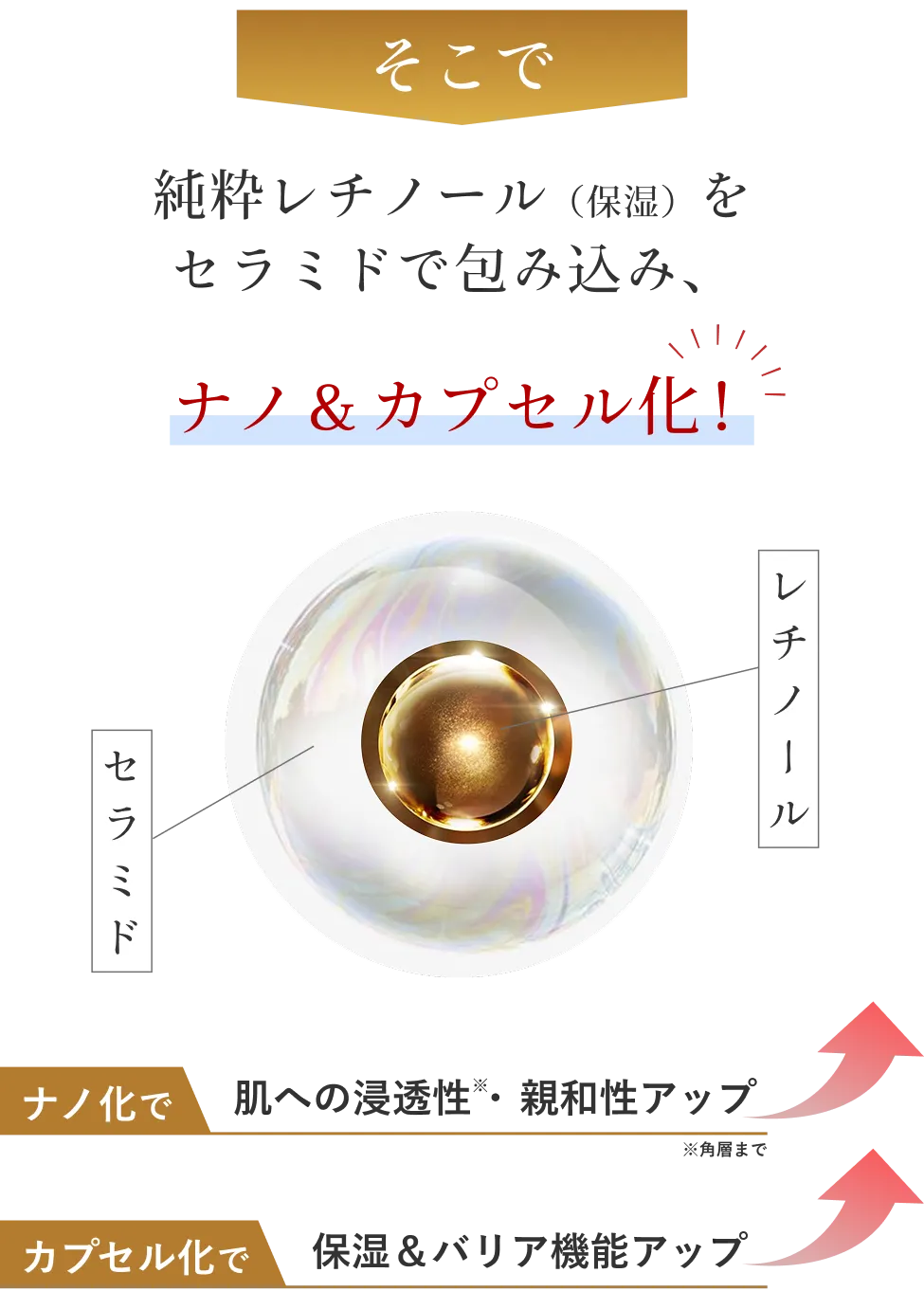 純粋レチノール(保湿)をセラミドで包み込み、ナノ&カプセル化!