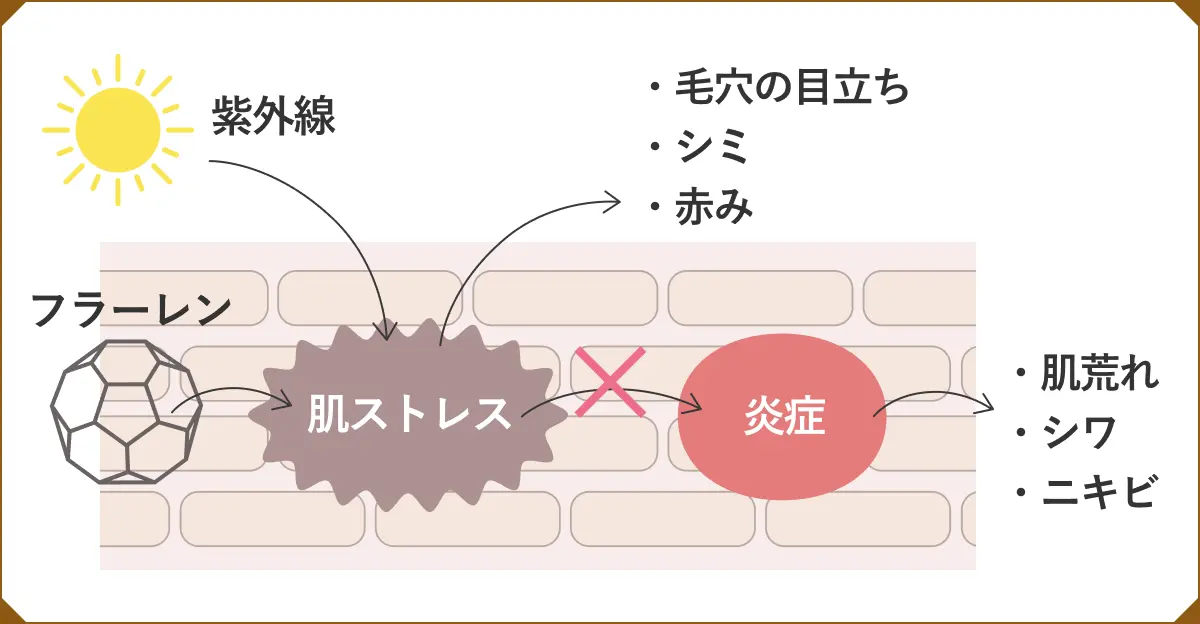 紫外線などの肌ストレスを吸収して無害化するフラーレン
