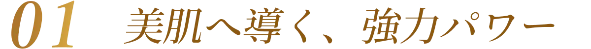 01.美肌へ導く、強力パワー