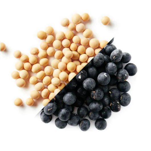 イソフラリッチ