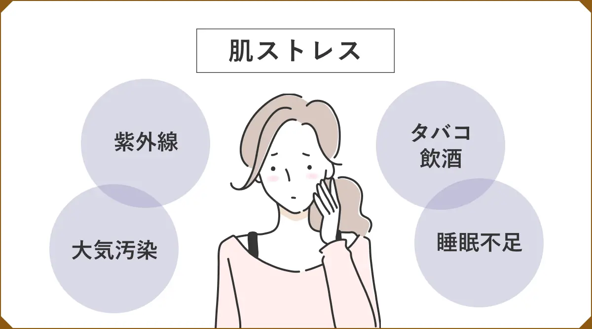 肌ストレス｜紫外線・大気汚染・タバコ、飲酒・睡眠不足