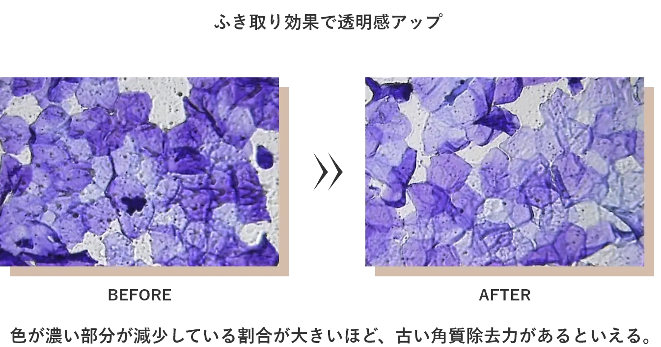 和漢粧を使用前と使用後の角質の様子
