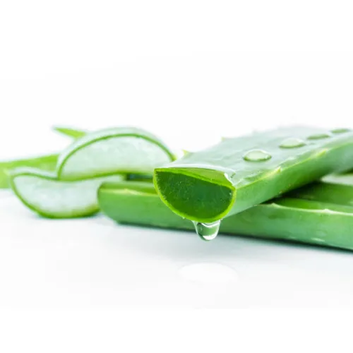 アロエ