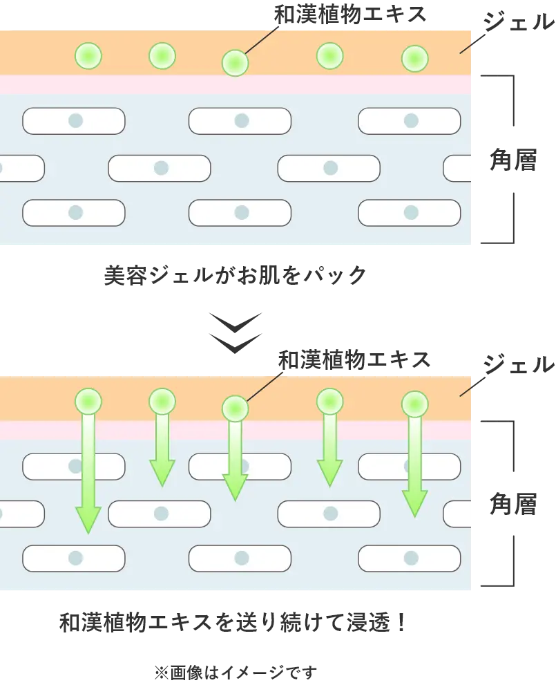 美容成分を角層の奥深くまで浸透させ、閉じ込める肌図
