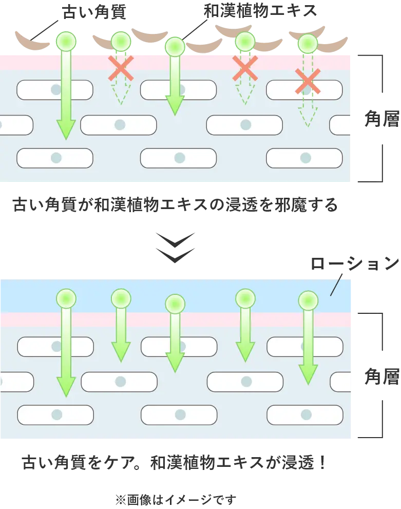 古い角質・乾燥によるくすみをケアし、お肌に透明感をもたらす肌図