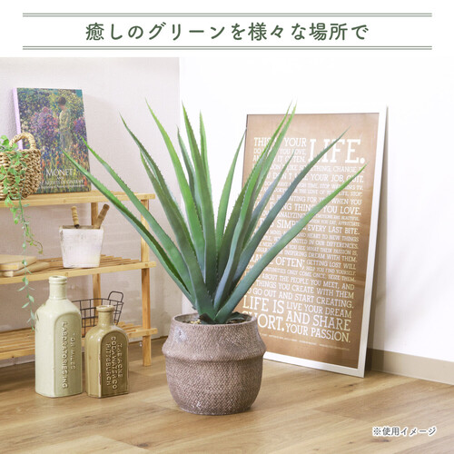 【癒しの空間に】幅70cm高さ75cm フェイクグリーン アロエ セメントポット