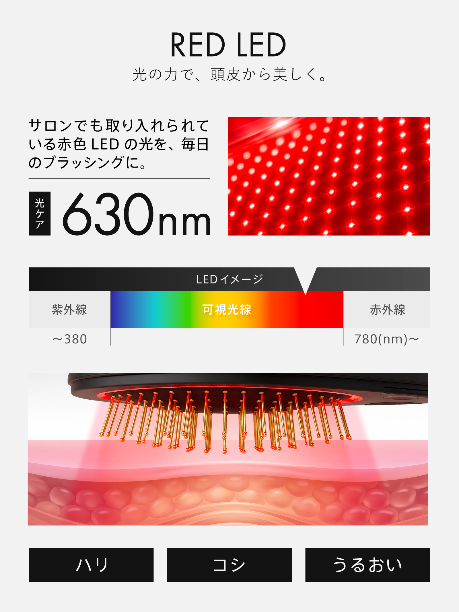 AUREA Gold Brush | オーレア ゴールドブラシ カラー: シャンパンゴールド
