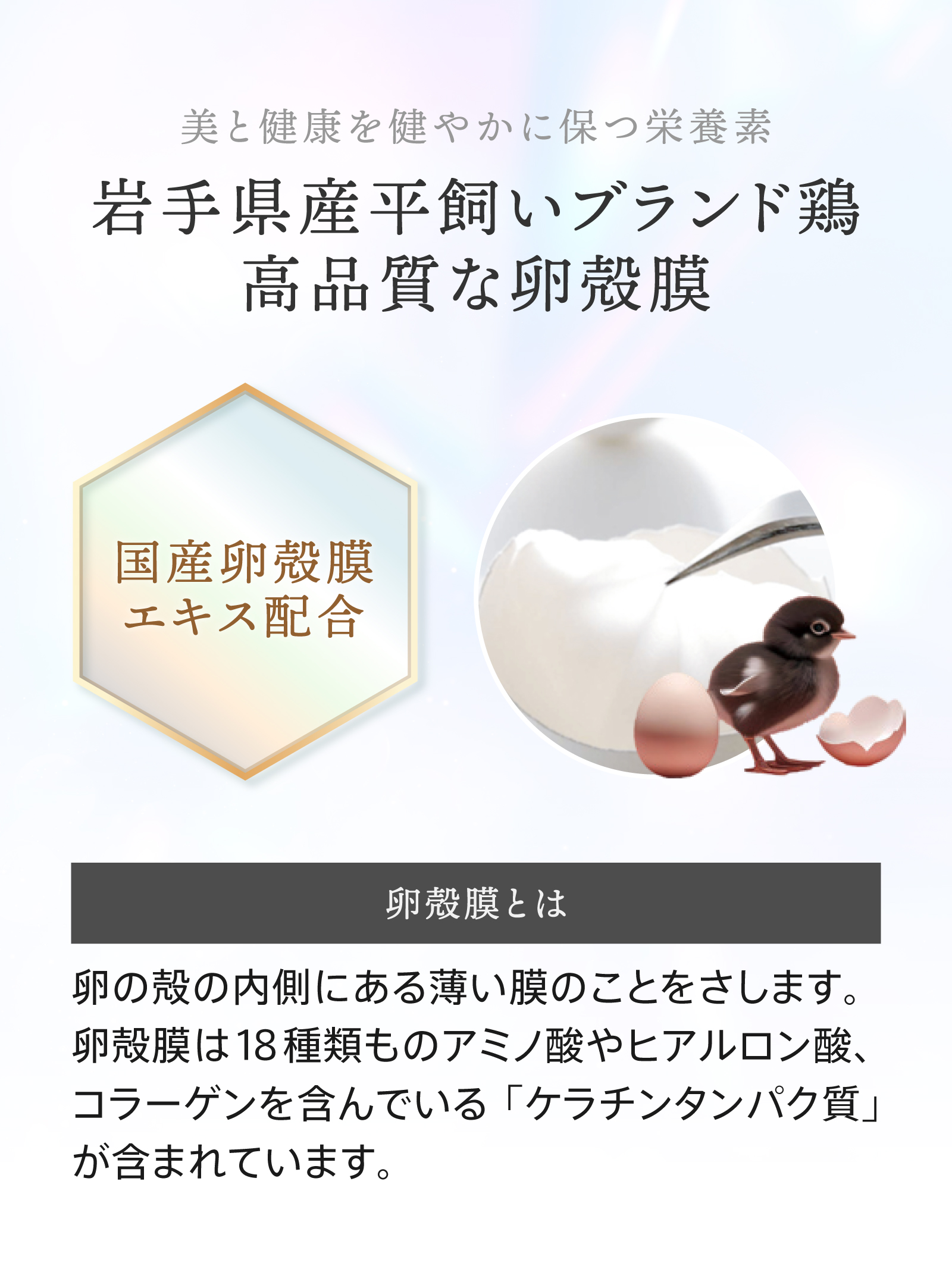 G4U スパークリングパック