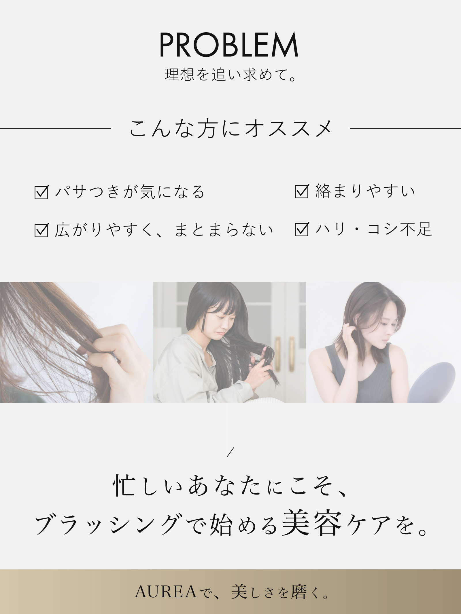 AUREA Gold Brush | オーレア ゴールドブラシ カラー: シャンパンゴールド
