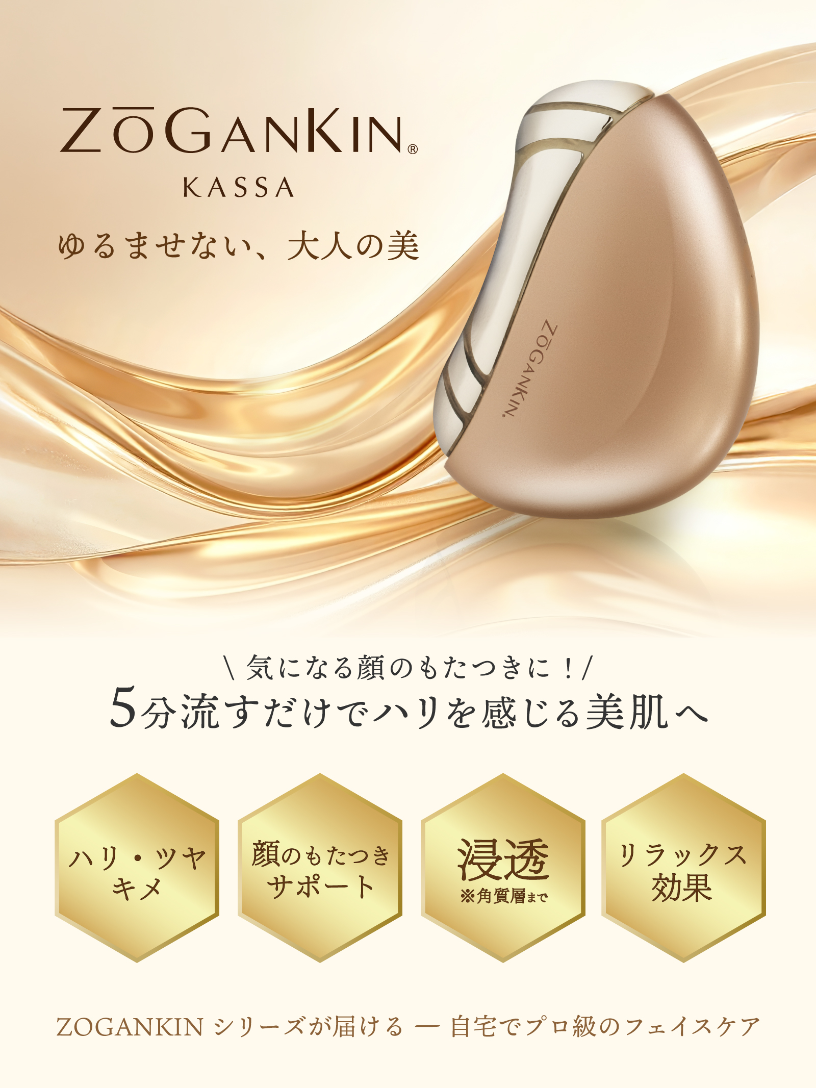 ZOGANKIN KASSA