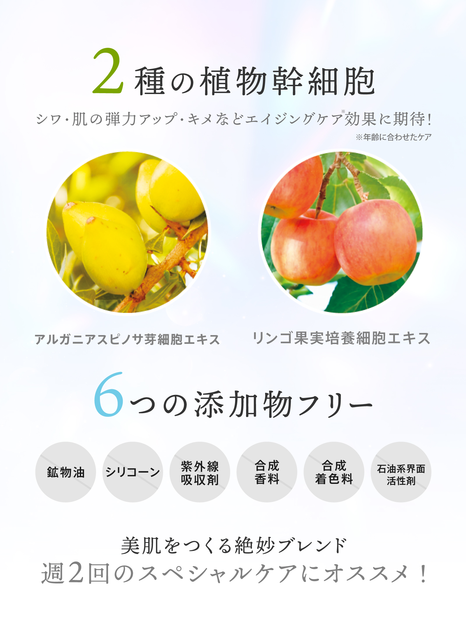 G4U スパークリングパック
