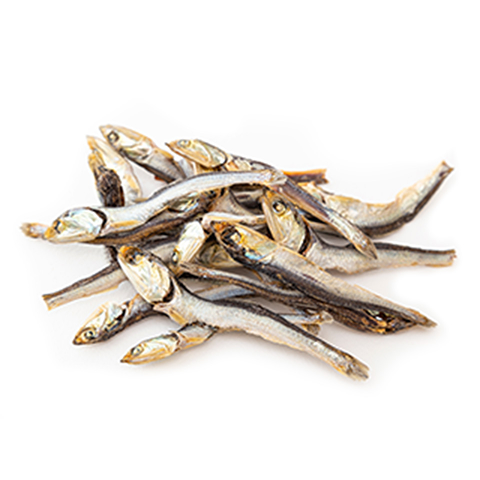 九州産片口いわし