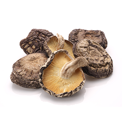 九州産干ししいたけ