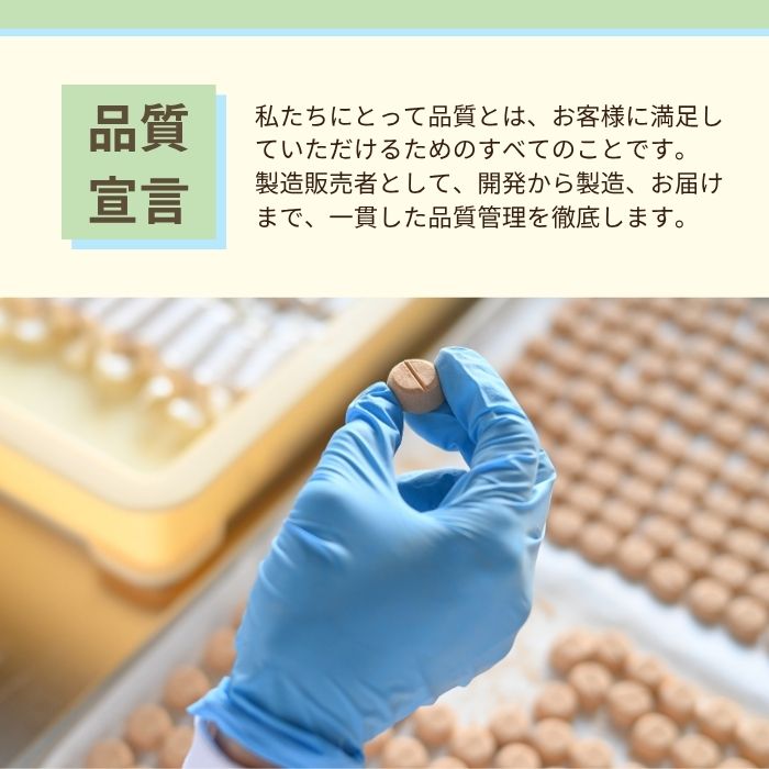 クラフトサプリ天然鉄 内容量: 28粒