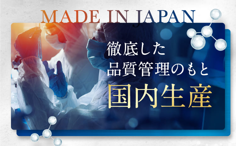 国内生産