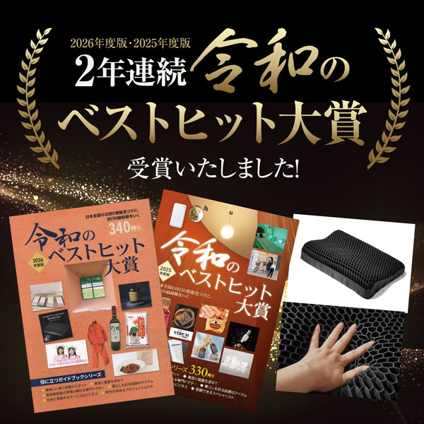 DR.BRAIN ドクターブレイン 枕