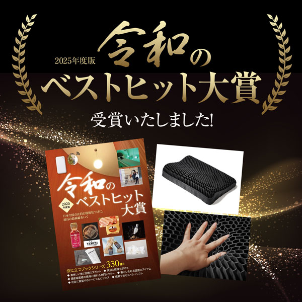 DR.BRAIN ドクターブレイン 枕