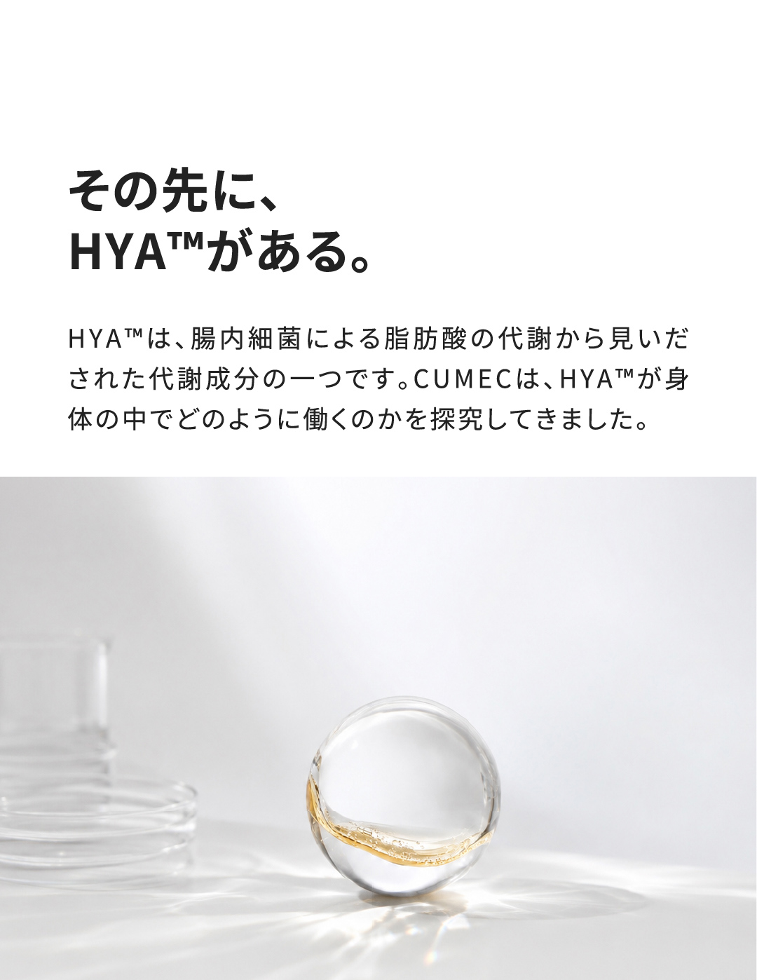 その先にHYA™がある