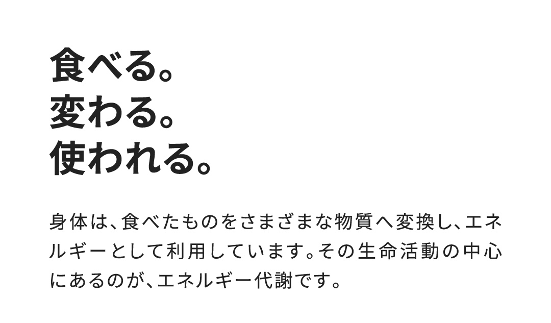 食べる。変わる。使われる。