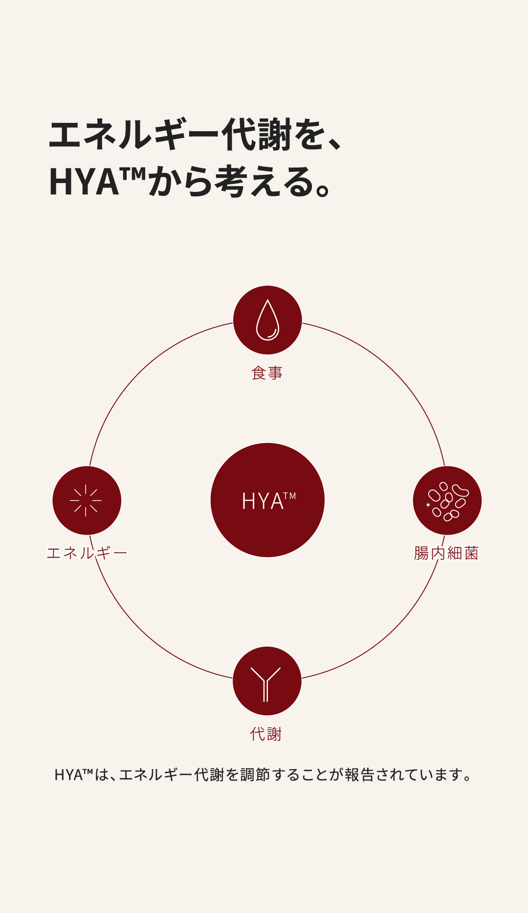 エネルギー代謝を、HYA™から考える。