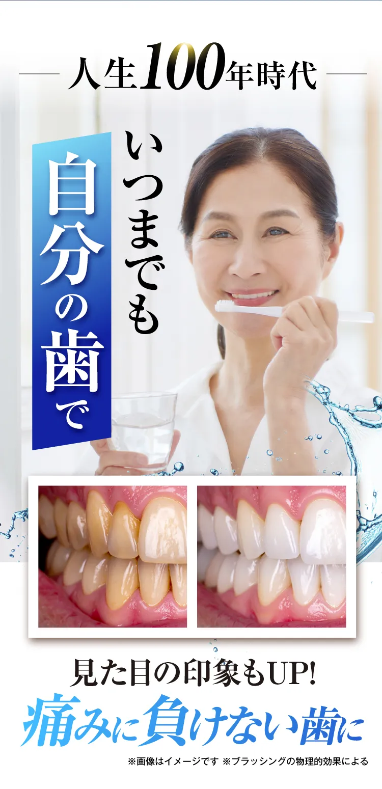 電動歯ブラシ