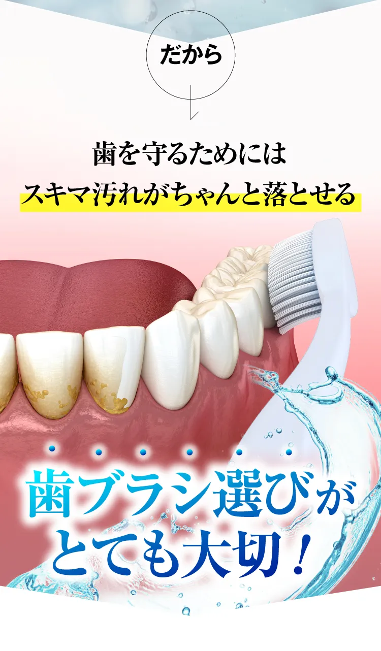電動歯ブラシ