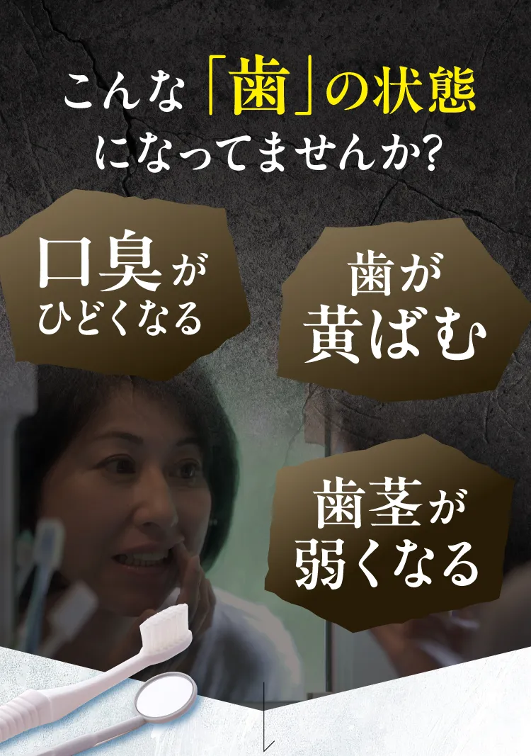 電動歯ブラシ
