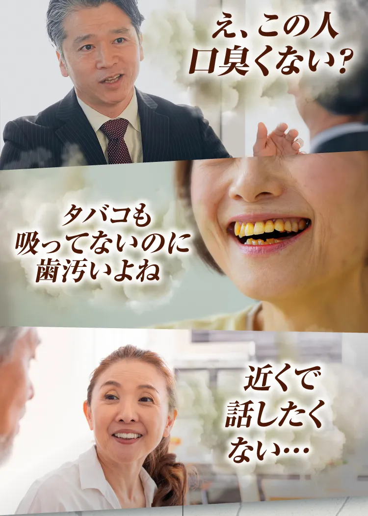 電動歯ブラシ