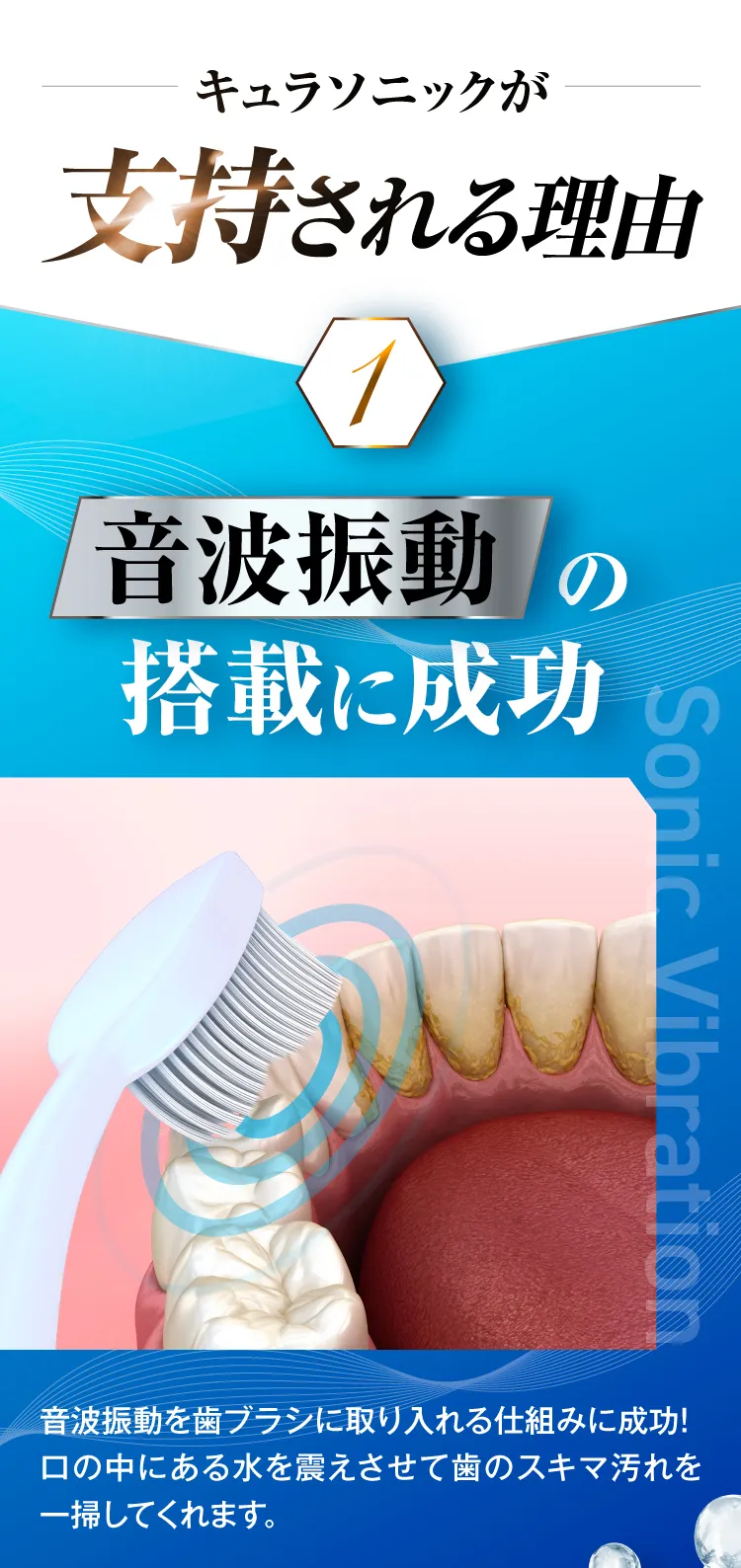 電動歯ブラシ