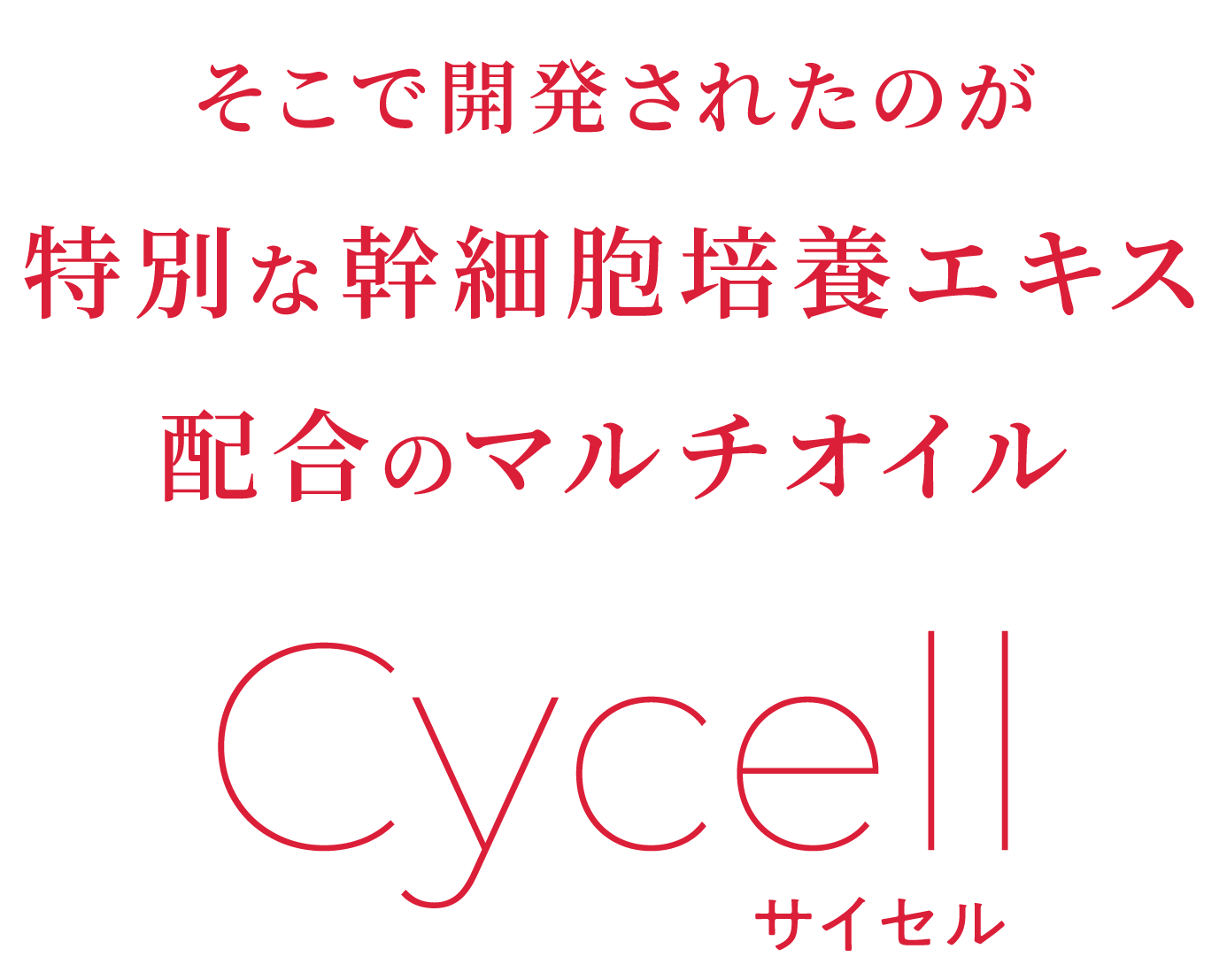 そこで開発されたのが…