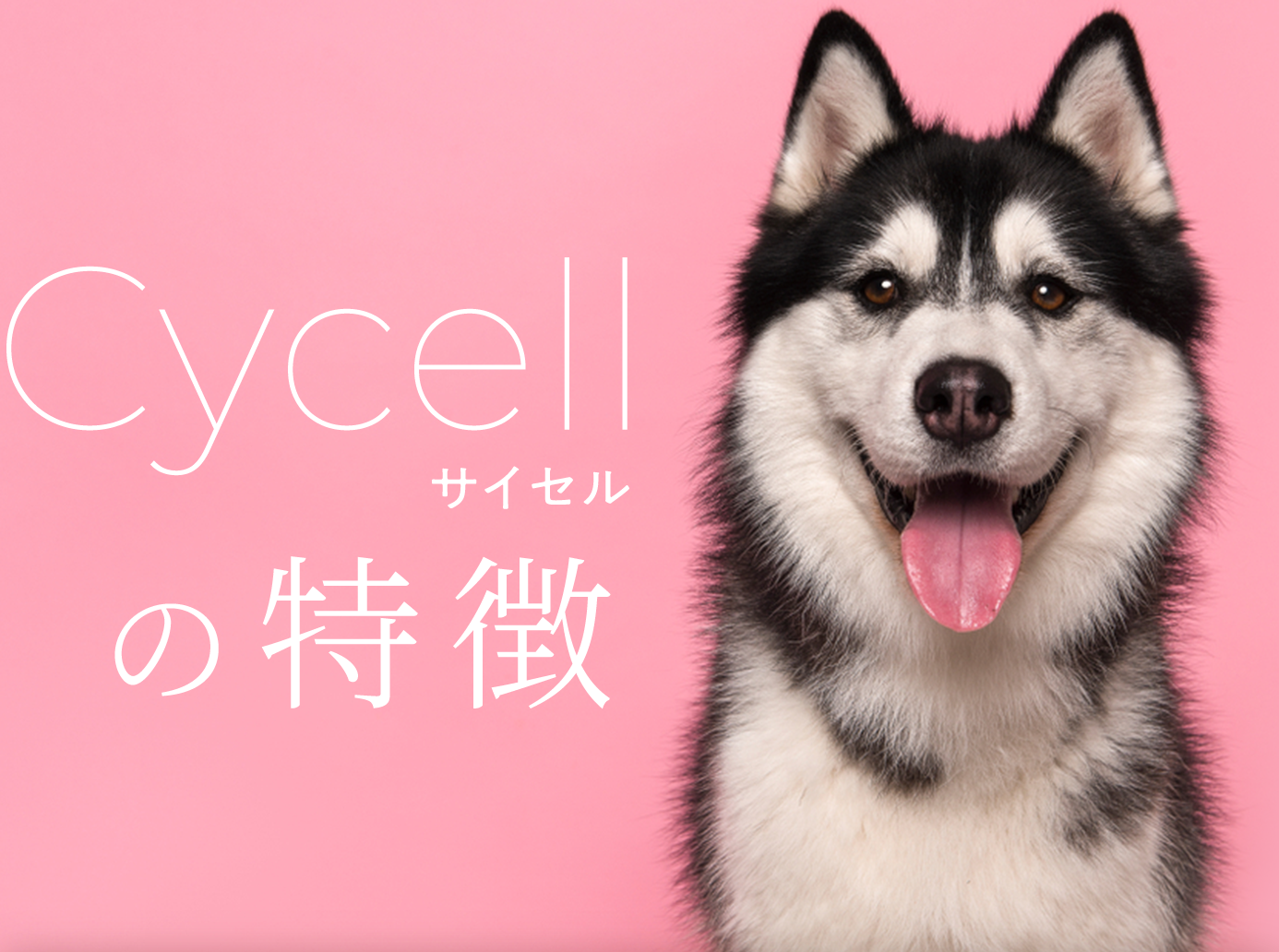 cycellの特徴