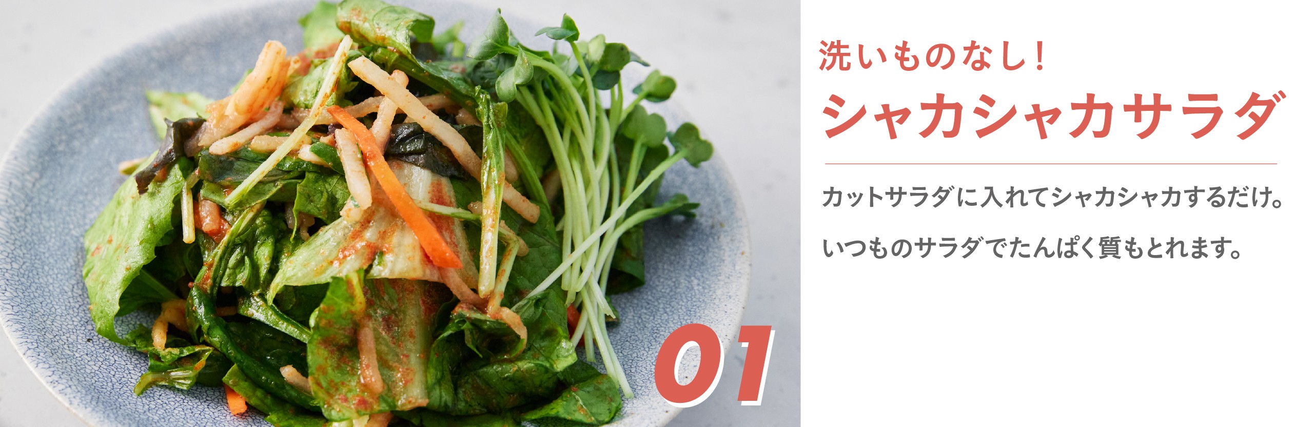 洗いものなし！シャカシャカサラダ