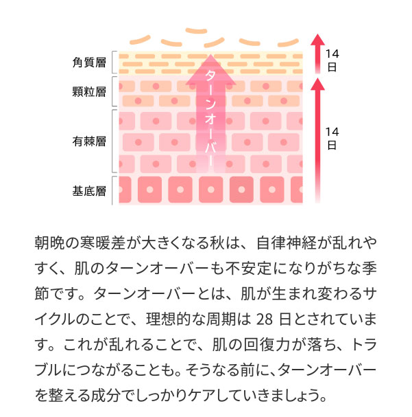 朝晩の寒暖差が大きくなる秋は、自律神経が乱れやすく、肌のターンオーバーも不安定になりがちな季節です。
